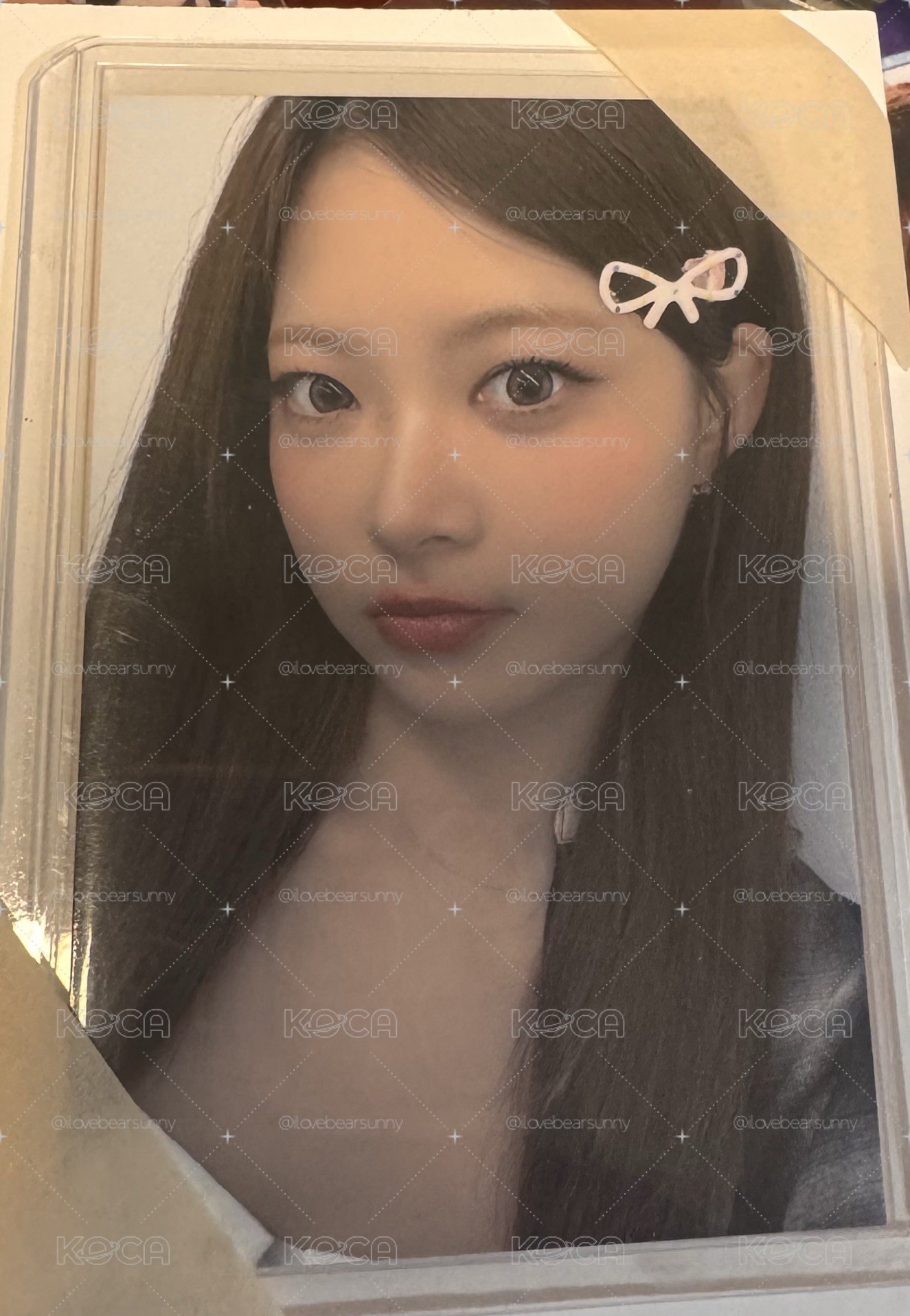 美巡粽採