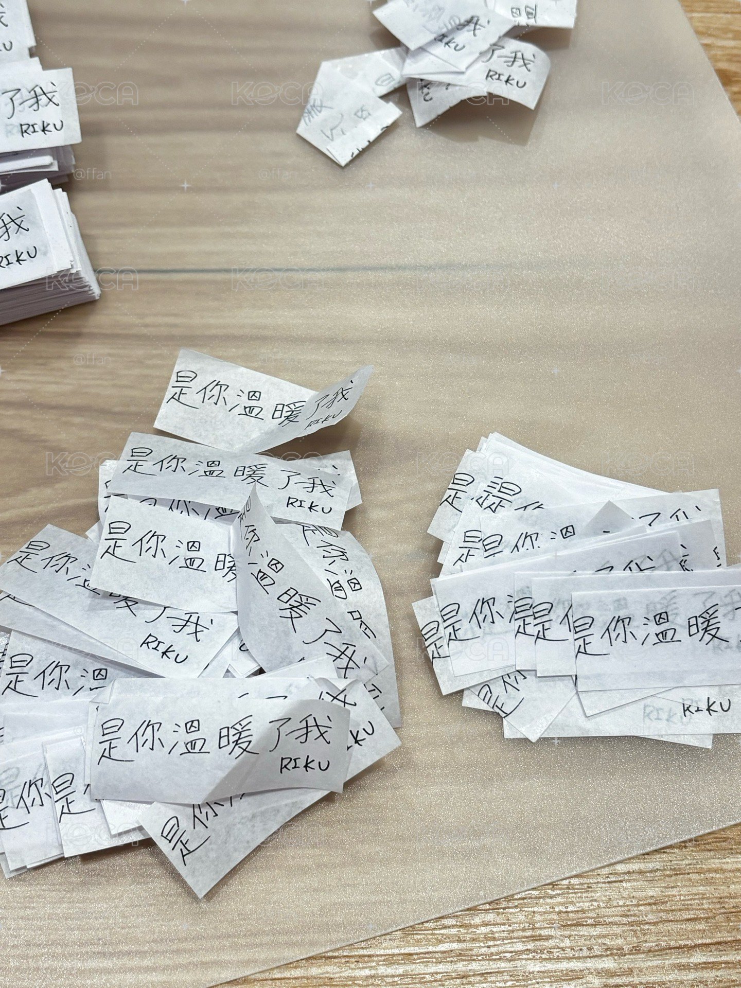 送台北陸紙花