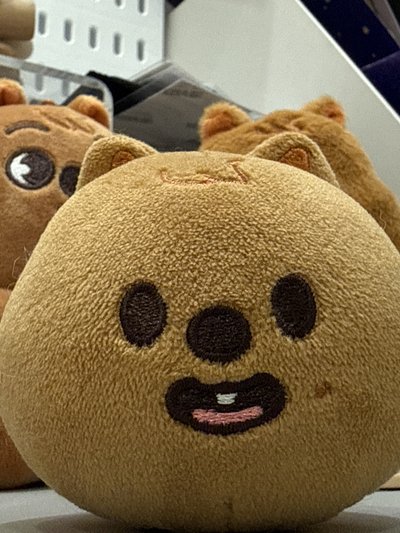 城壓力球