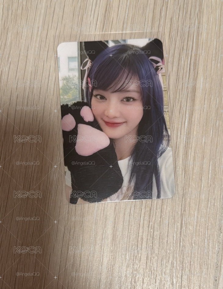 💙貓爪妮