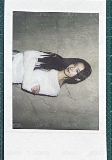 單張橫板葉