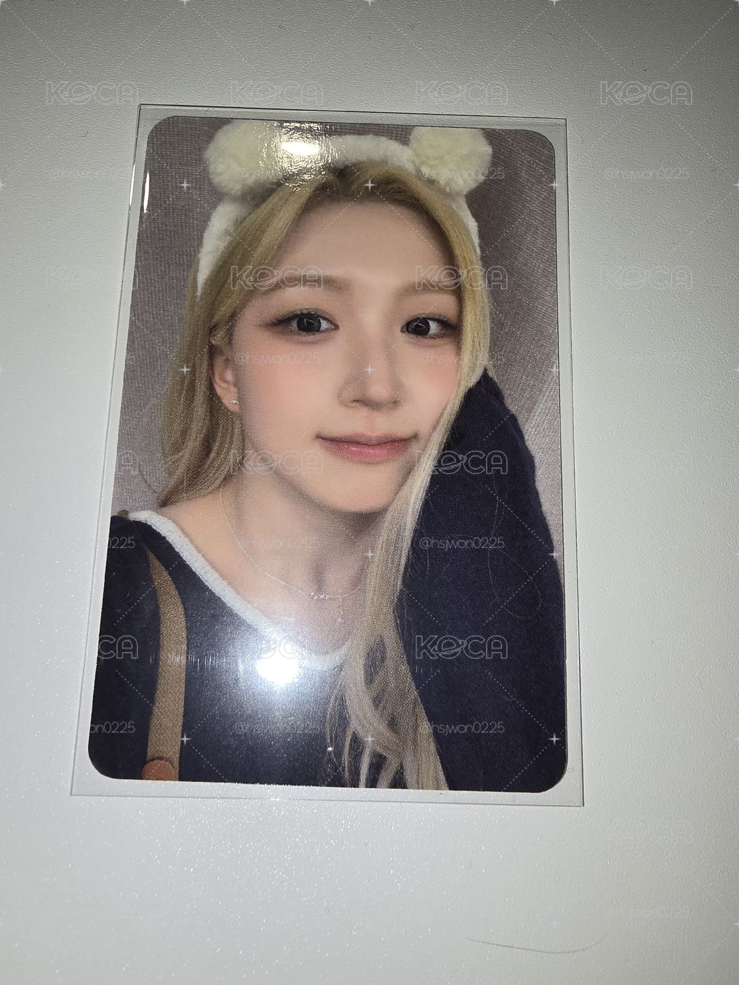 【HAEWON】動物塑嫄