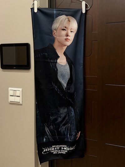 Hoshi right here 掛布