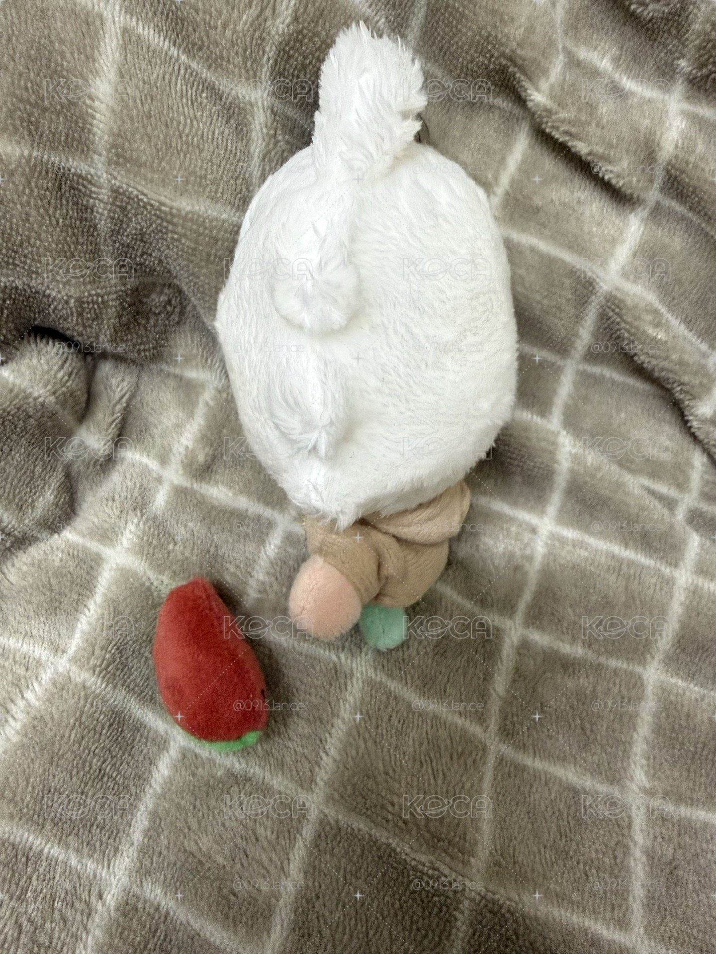 西瓜萌+原皮萌糰子盤