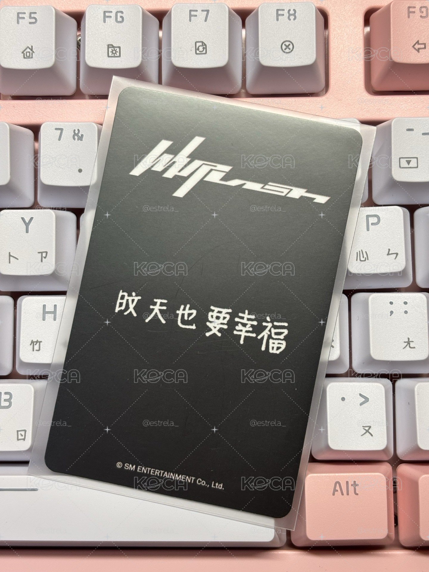 【現貨】Whiplash kms冬
