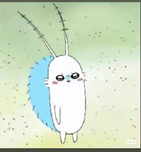 シテラポマ