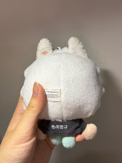 原皮勇猛
