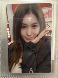 紗