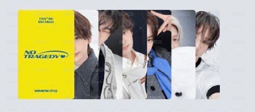 迷五 wvs D ver. 特典卡