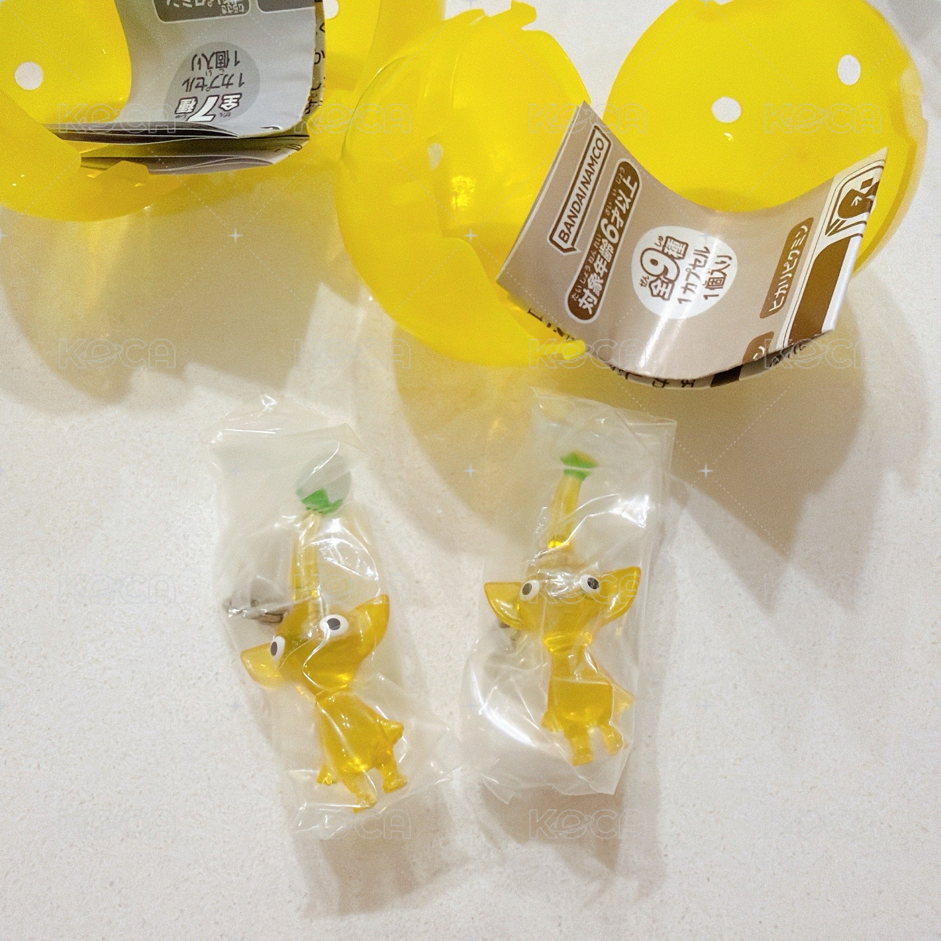 黃皮
