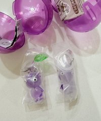紫皮