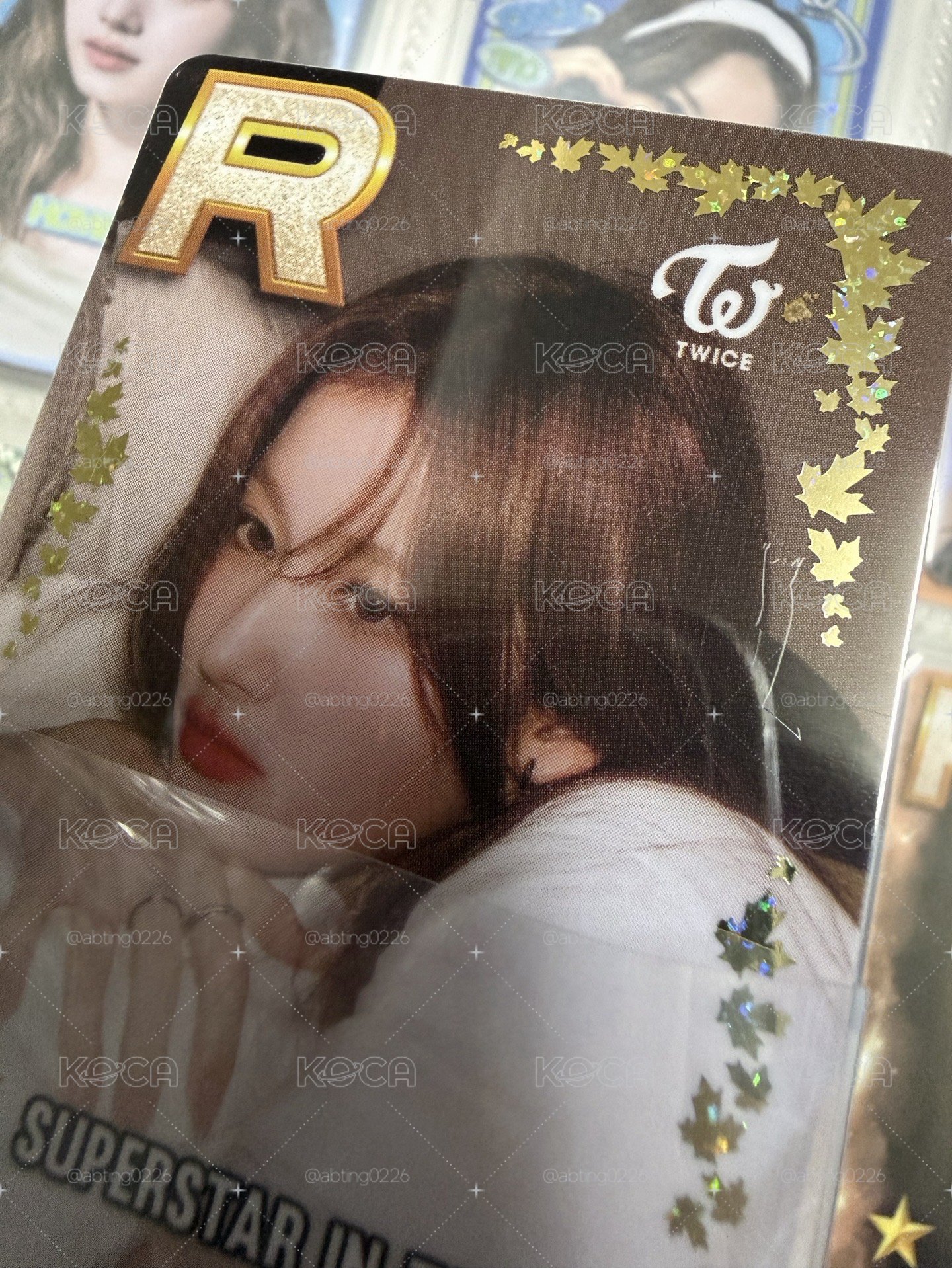多倫多SANA 遊戲卡