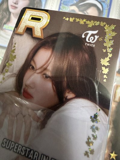 多倫多SANA 遊戲卡