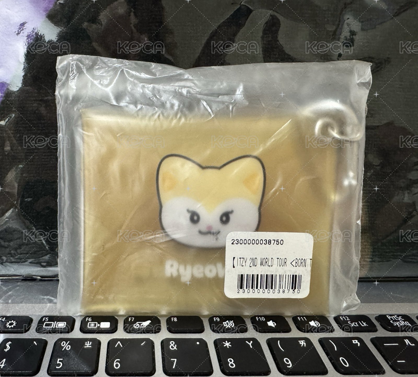 彩領