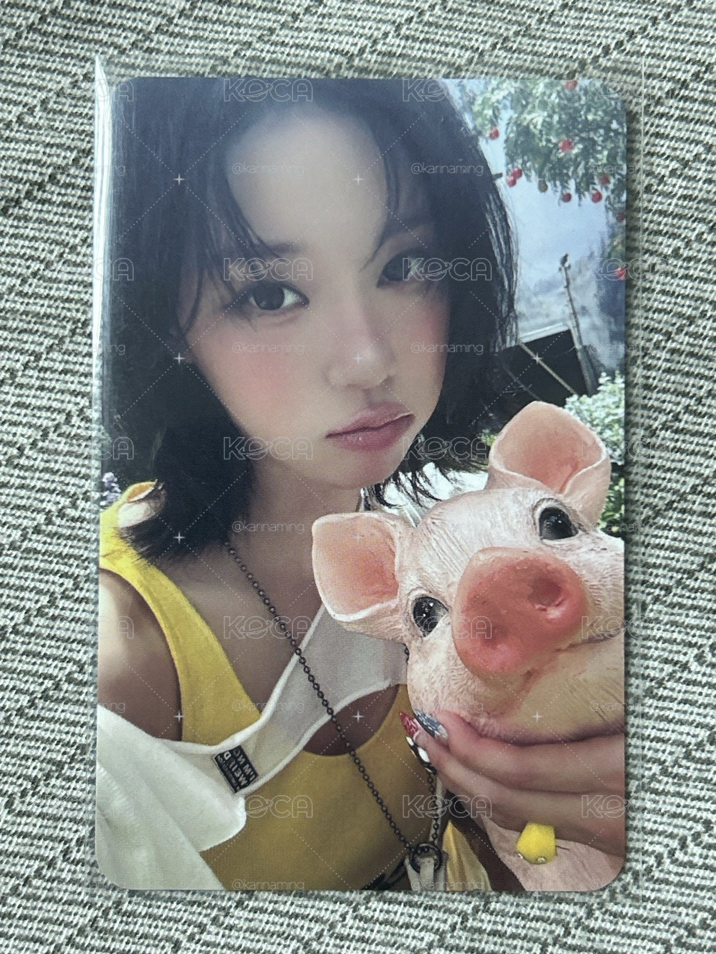 ⭐️🐷1元起標 小豬冬🐷⭐️