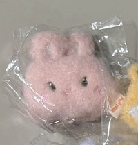 星