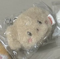 潤