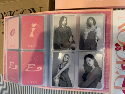 Sana盤 夾臉紗 冬日娃 翻轉娃 髮圈 卡冊 庫柏力克熊