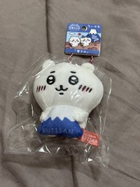 富士山限定