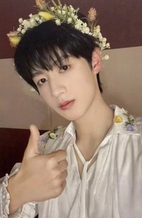 蝴蝶效應 家族款 周邊卡 