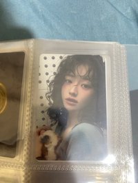 豚鼠丹丹 抬頭