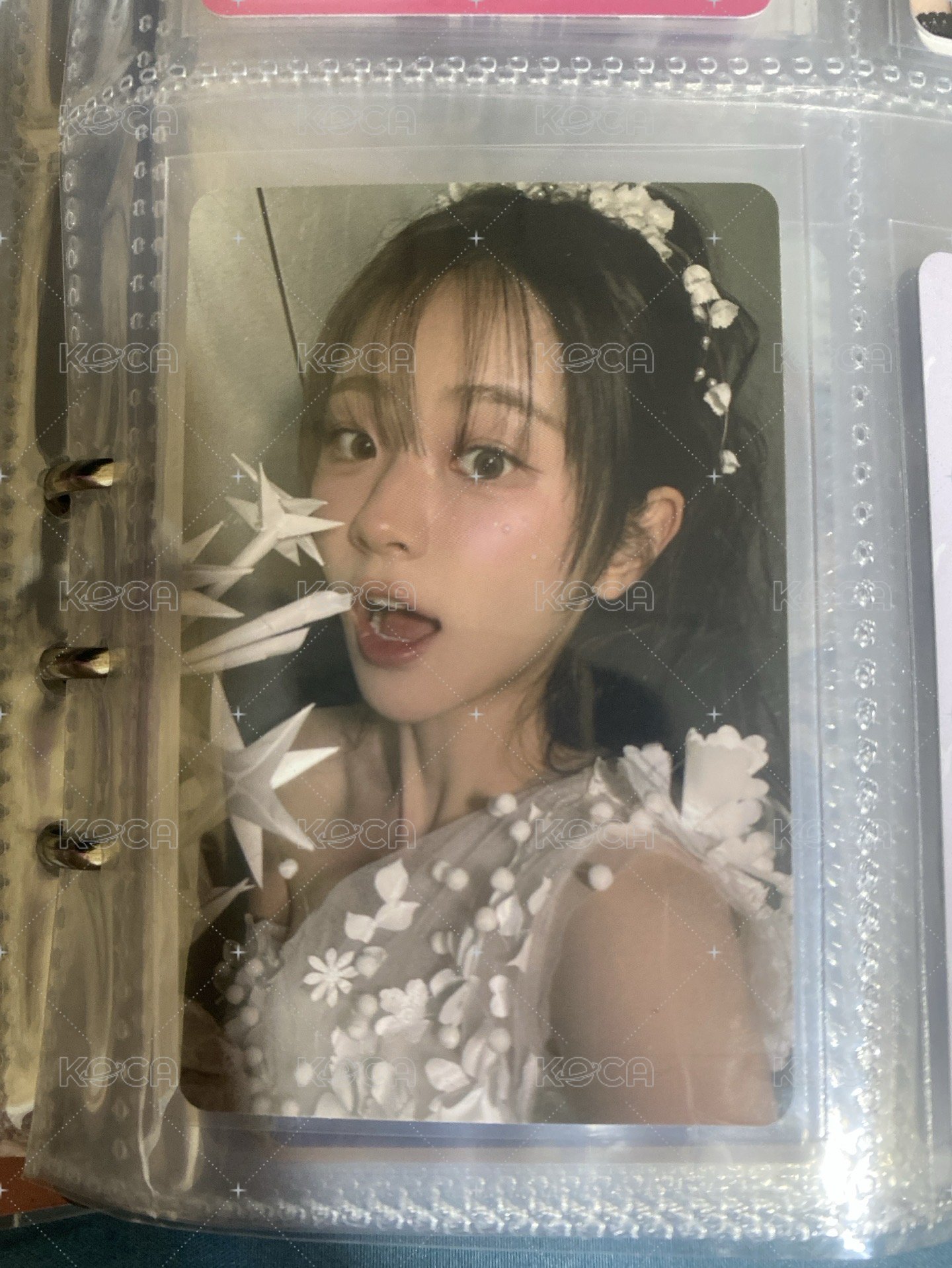 星星丹丹