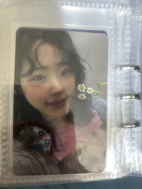 豚鼠娜娜