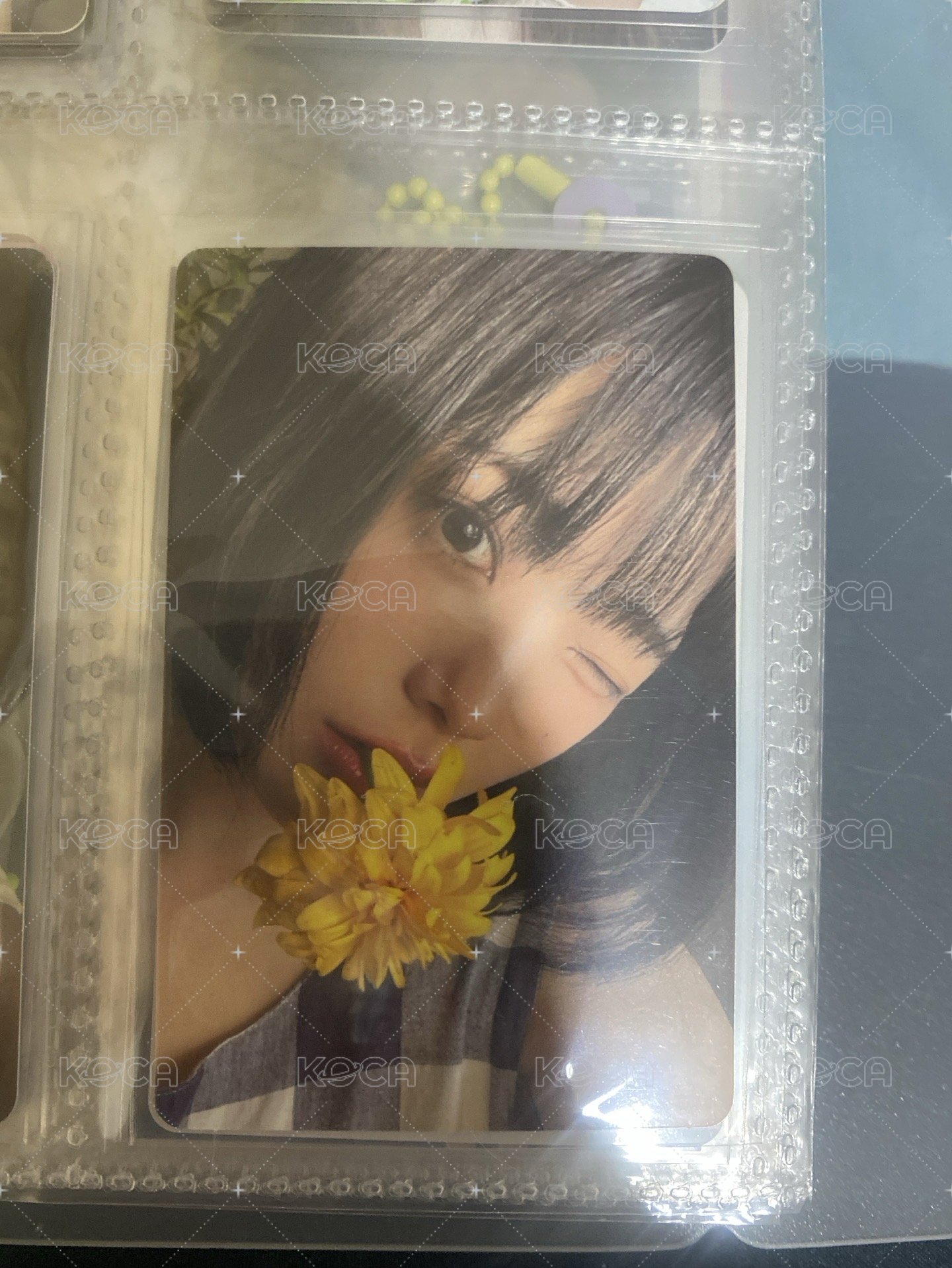 咬花花明明