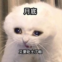在出清🛸🧳在吃土、要買要快呀～👽💙💜🩵