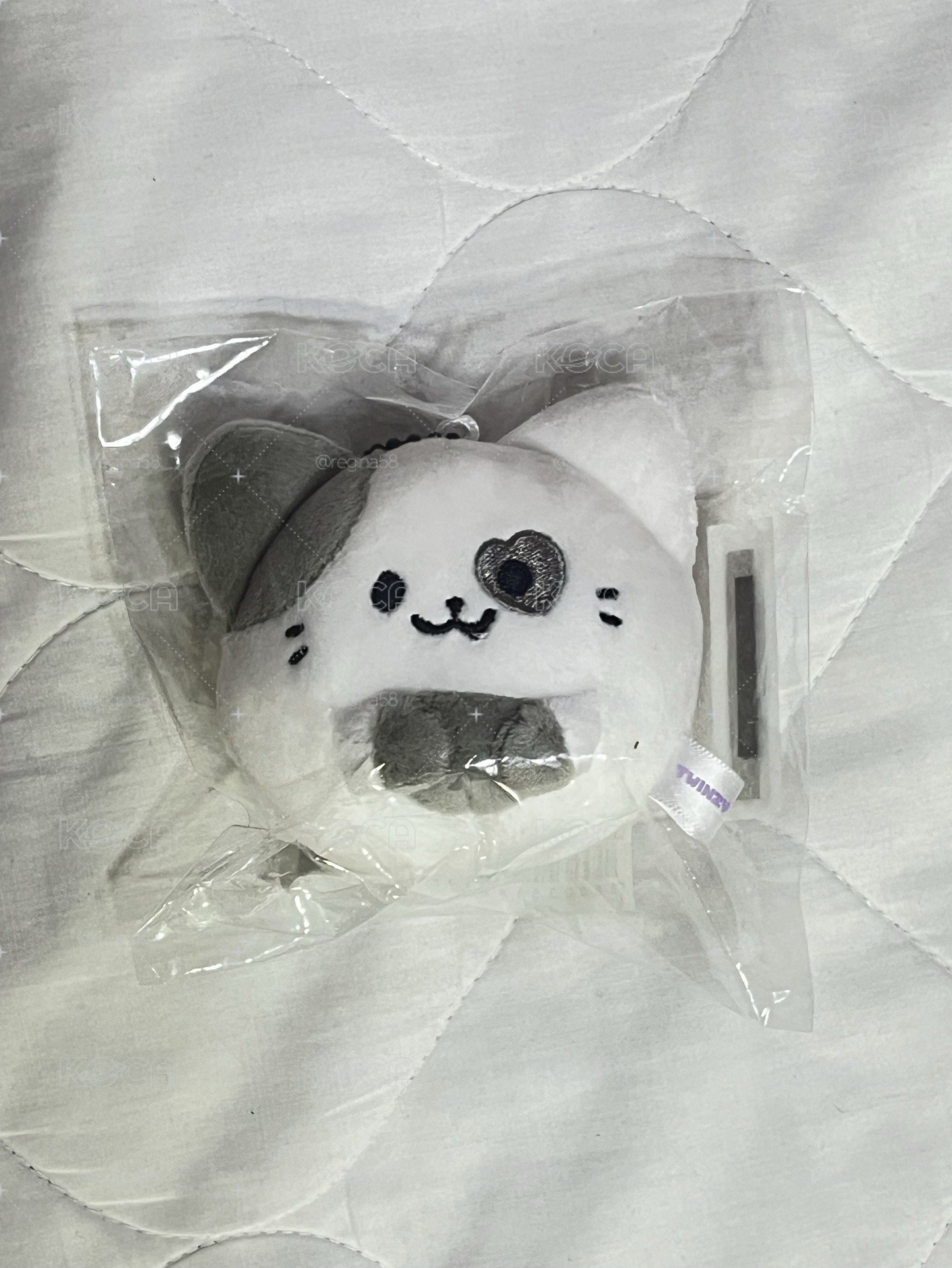 禮志圓滾滾娃 不綁直出