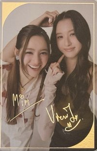 GR 周邊卡 VIEWMIM 隱藏