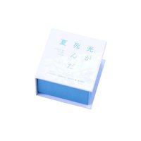 光逝去的夏天 x FanFunMARKET