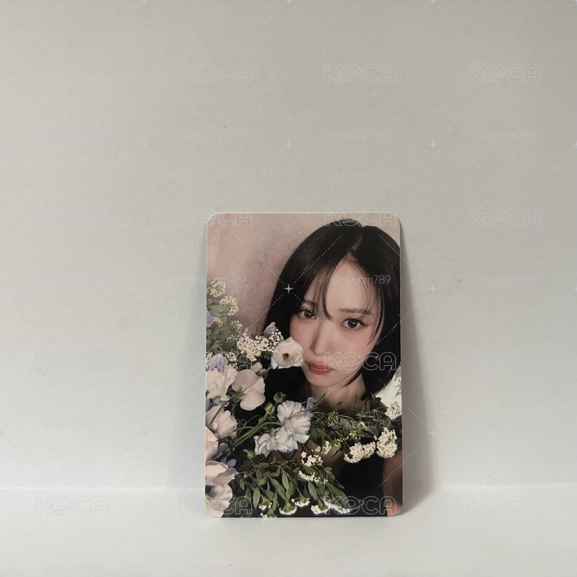 正一專卡飛