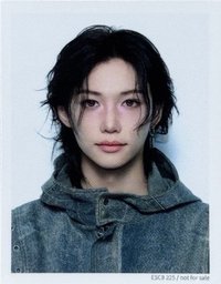 Hollow 專輯卡 FC盤 證件照