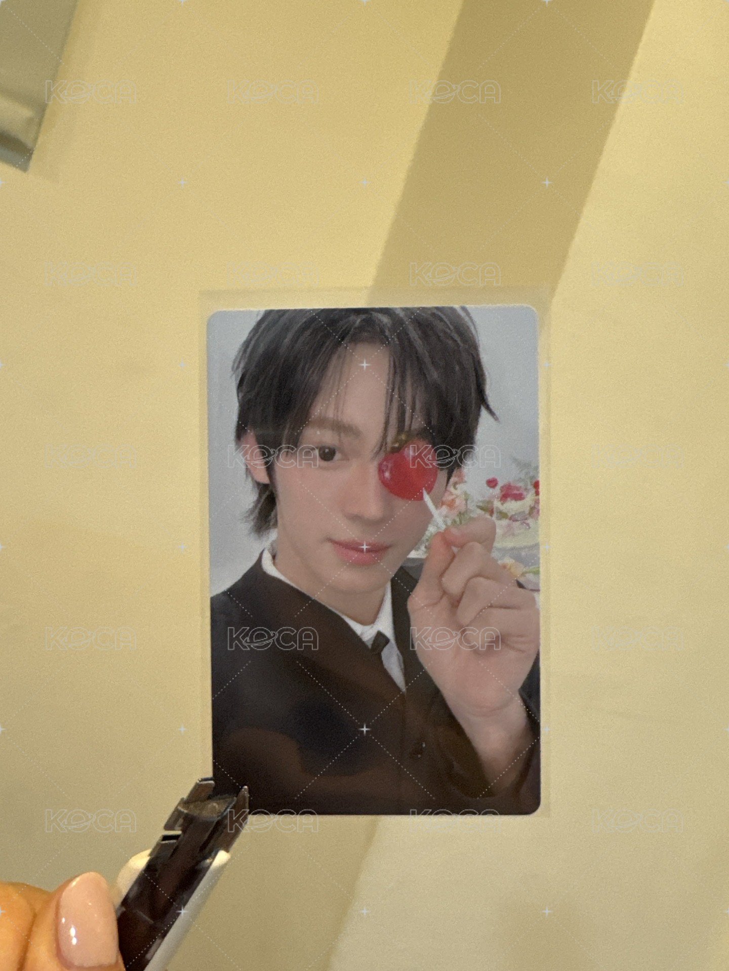 🐰迷五🐰