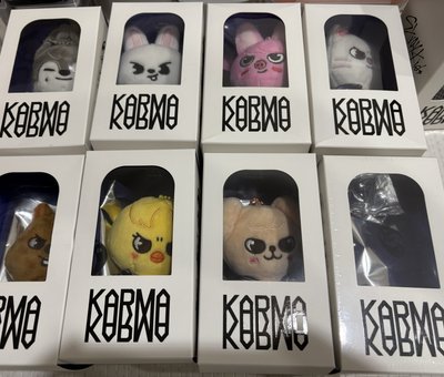 KARMA 電子專 SKZOO ver.