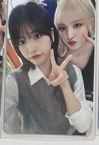 貓狗
