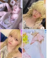LILY  1～4星