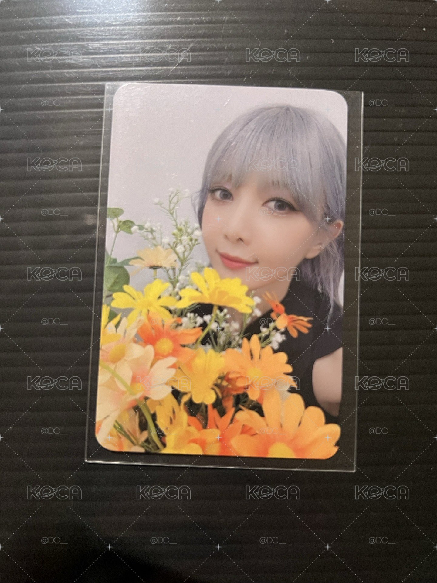 迷八MS特典 花花 多美