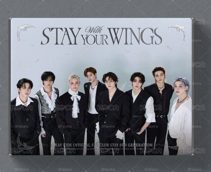 stray kids 六期會員禮 全新未拆