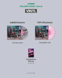 VINYL ver.