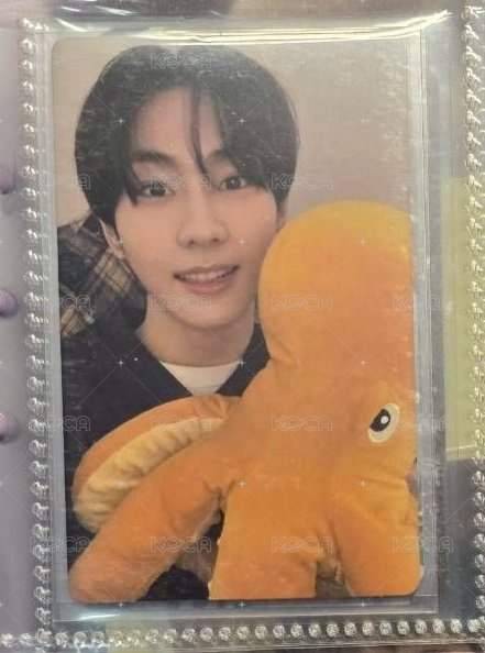 正二專卡 章魚元