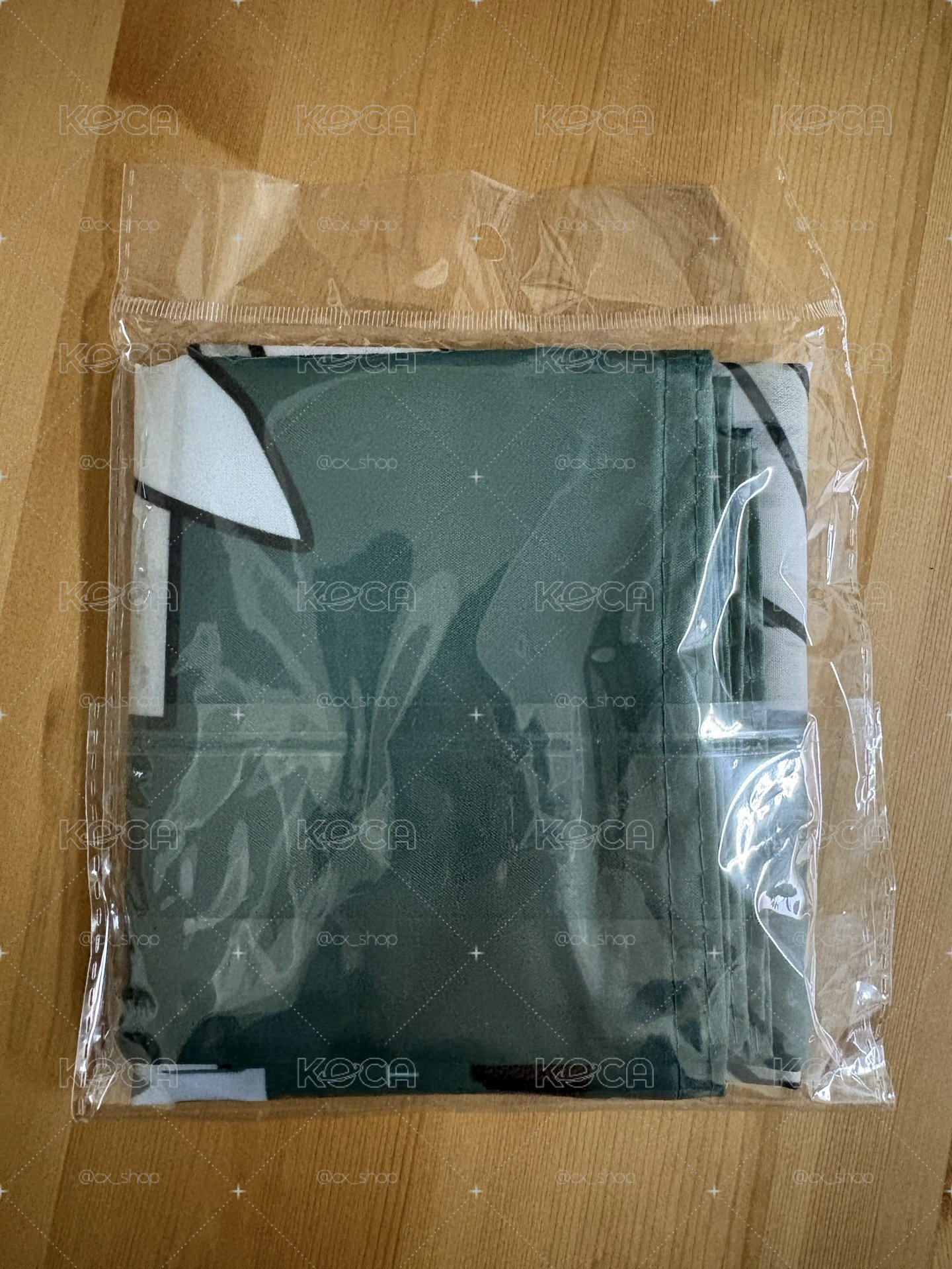 進擊的巨人-自由之翼旗幟🚩