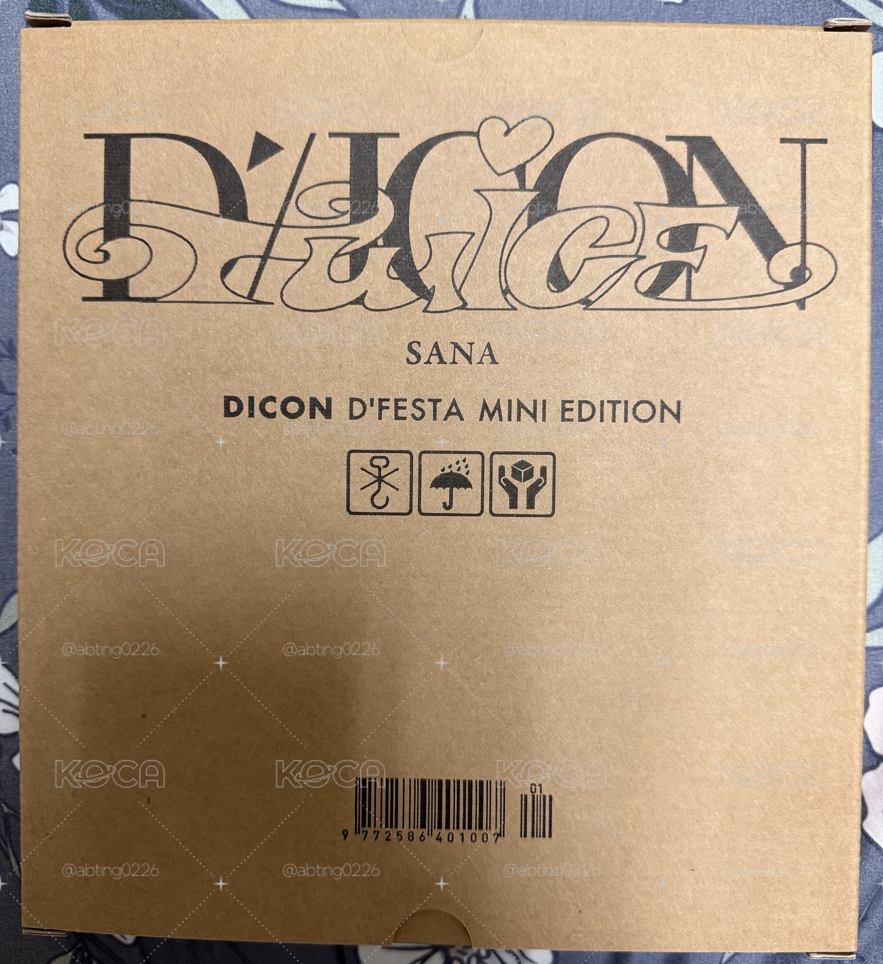 SANA D社寫真冊組（可單售也可當綁物）