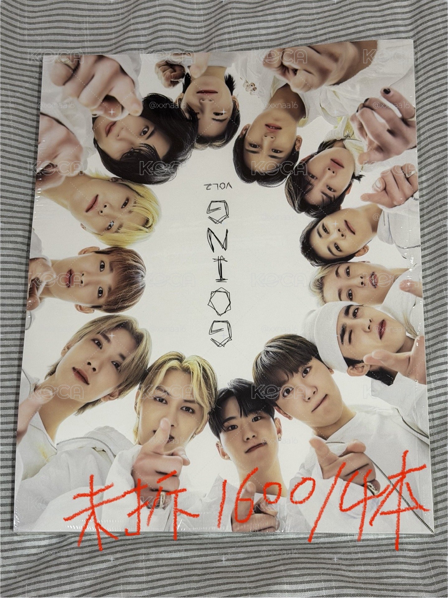 SVT 便宜大盤/克拉棒 克拉粽 貝雷圓 公放卡 風衣