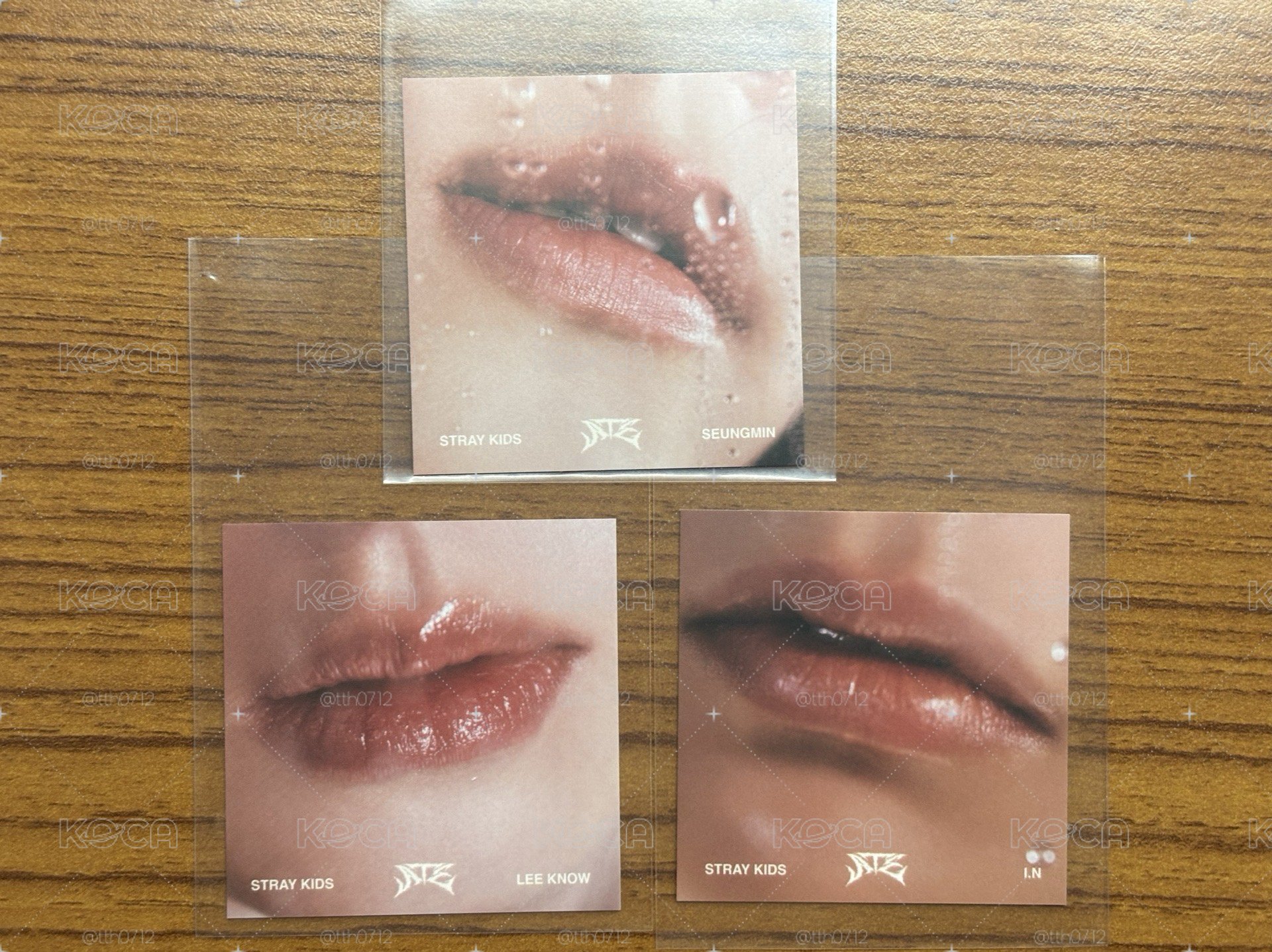 旻玟寅 唇卡（不拆賣）