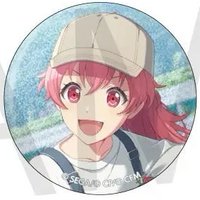 細閃 vol.43 A 徽章 超新星花前