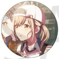 細閃 vol.43 B 徽章 超C花前