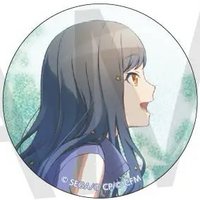 細閃 vol.43 B 徽章 超C花前