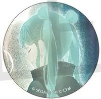細閃 vol.43 B 徽章 超C花前